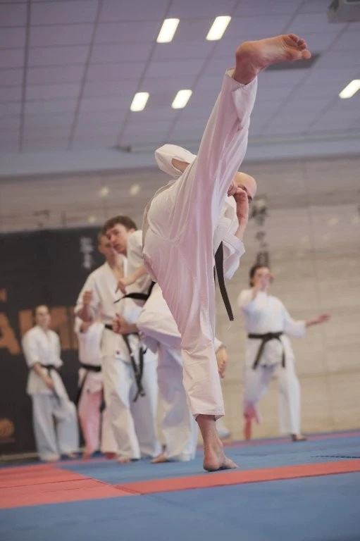 Zawodnik karate